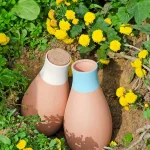 Arrosage facile et pratique pour plantes d'intérieur