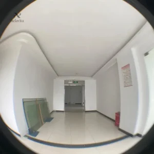 Lentille fisheye pour smartphone avec clip de fixation