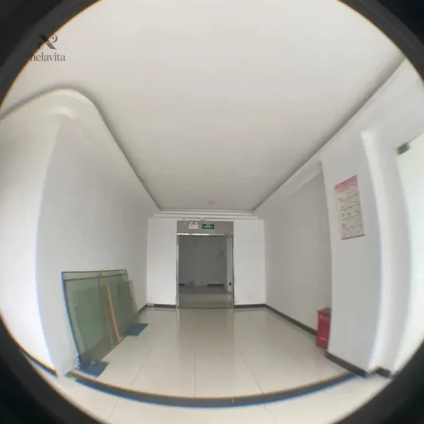 Lentille fisheye pour smartphone avec clip de fixation