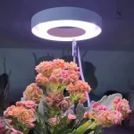 Lampe de croissance LED pour plantes d’intérieur