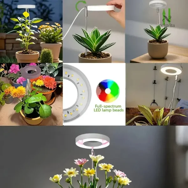 Éclairage intelligent pour jardin intérieur