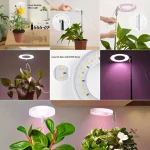 Lampe à spectre complet pour plantes d'intérieur
