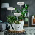 Éclairage LED pour favoriser la croissance des plantes