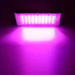 Lampe de croissance LED pour jardinage intérieur