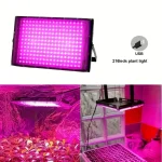 Lampe puissante pour plantes d'intérieur