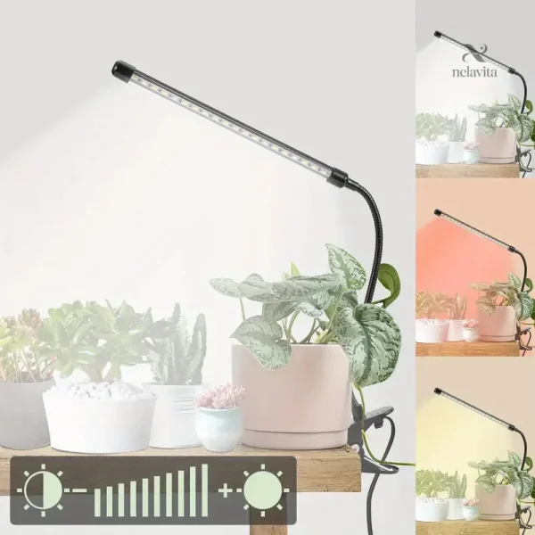 Lampe LED pour favoriser la croissance des plantes d’intérieur