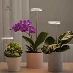 Lampe LED de croissance pour plantes d'intérieur