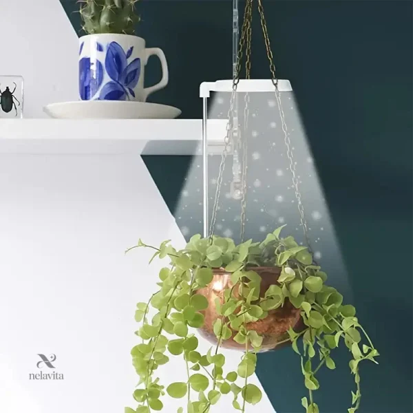 Lampe de culture LED pour soutien des plantes