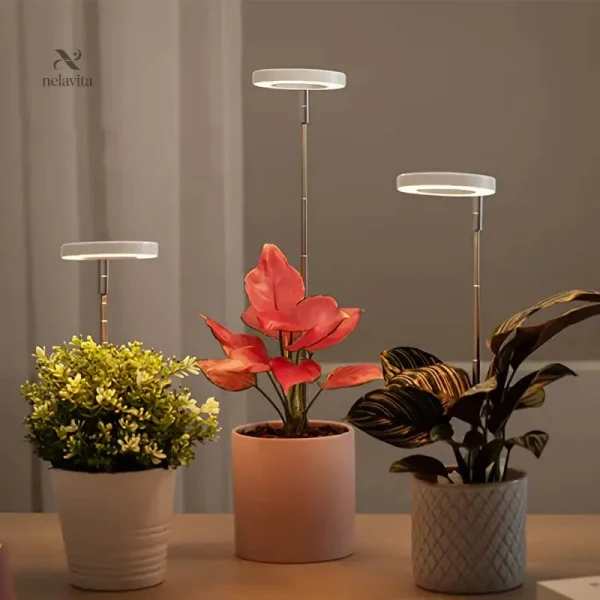 Solution d'éclairage pour la croissance des plantes