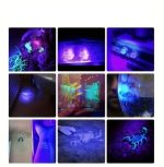 Torche UV LED pour détecter faux billets et taches