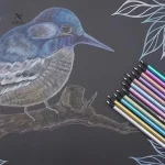 Ensemble de crayons de couleur pour artistes