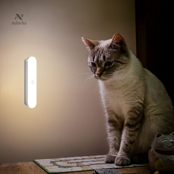 Éclairage pratique pour déplacements nocturnes