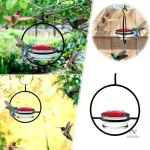 Mangeoire à colibri transparente pour attirer les oiseaux