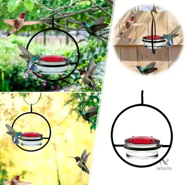 mangeoire-a-colibri-transparente-distributeur-de-nectar-s-2ooh3j-1 Mangeoire à colibri transparente pour attirer les oiseaux