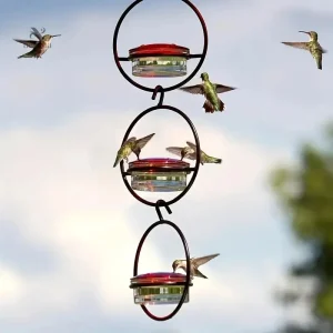 Mangeoire à nectar pour soins des oiseaux dans votre jardin