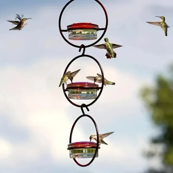 Mangeoire à nectar pour soins des oiseaux dans votre jardin