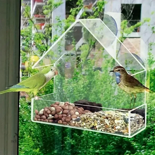 mangeoire-transparente-pour-oiseaux-avec-ventouses-a-fixe-crh967-1 Mangeoire pour oiseaux avec ventouses pour fenêtre