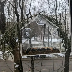 Accessoire pratique pour attirer les oiseaux près de chez soi