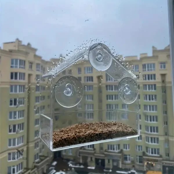 Mangeoire transparente idéale pour les amateurs d'oiseaux