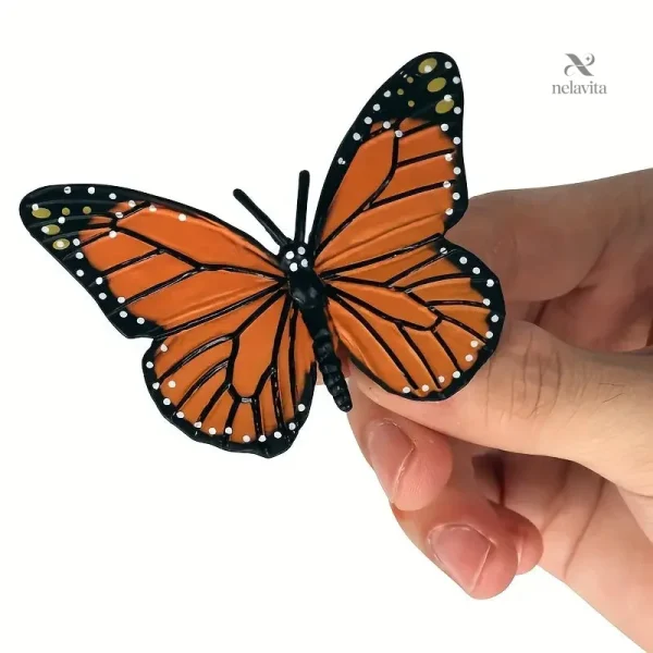 Outil pédagogique pour comprendre la biologie des papillons