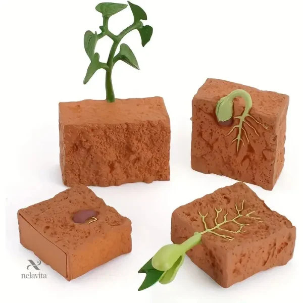 maquette-educative-cycle-de-vie-des-plantes-jouet-scienti-1ykjh2-1 Maquette éducative sur le cycle de vie des plantes
