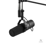 Micro dynamique idéal pour chant et voix off en studio