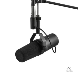 Micro dynamique idéal pour chant et voix off en studio