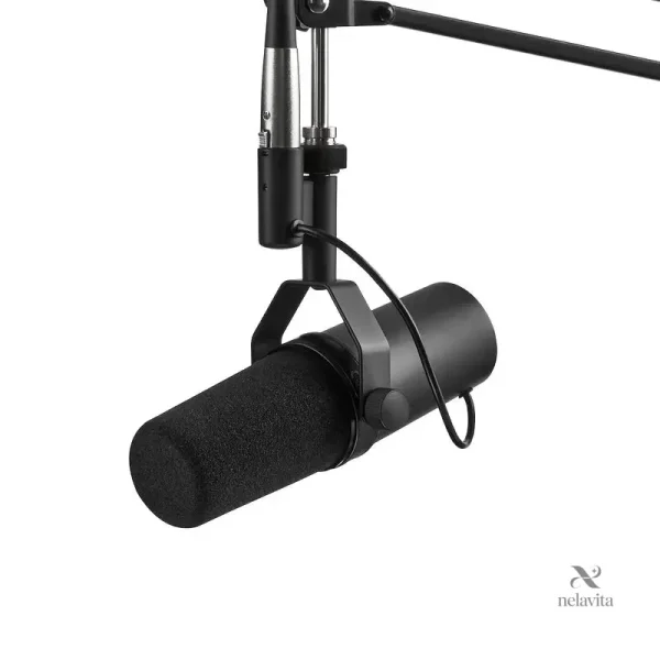Micro dynamique idéal pour chant et voix off en studio