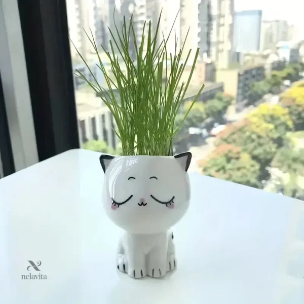 mini-pot-de-fleurs-en-forme-de-chat-jardiniere-decorative-v6s2mn-1