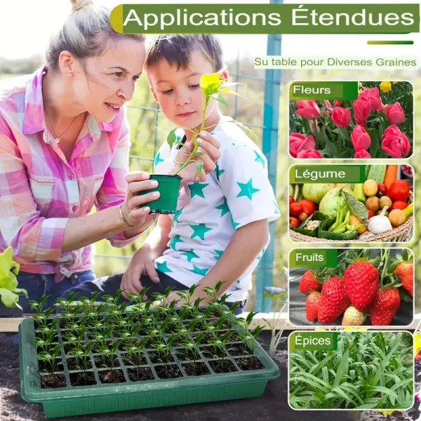 Serre compacte idéale pour le jardinage intérieur et semis précoce