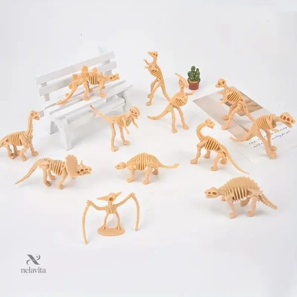 mini-squelettes-de-dinosaures-en-plastique-modeles-3d-edu-ffbprv-1 Mini Squelettes de Dinosaures en Plastique pour l'éducation