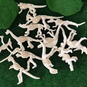 Modèles 3D éducatifs de dinosaures pour projets scolaires