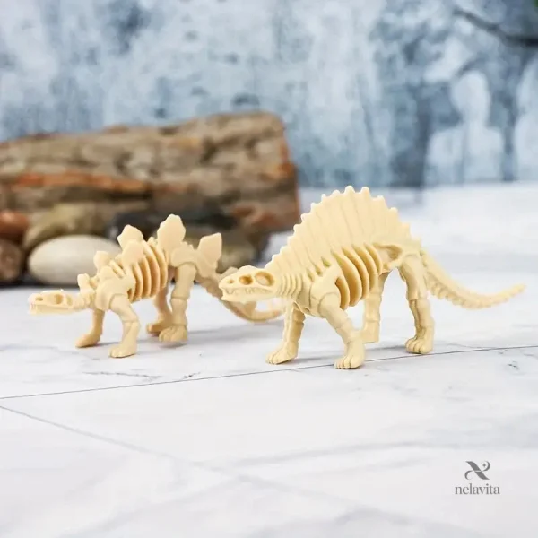 Mini squelettes de dinosaures pour apprendre en s'amusant