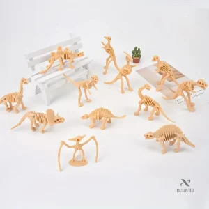 Mini Squelettes de Dinosaures – Jouet Éducatif