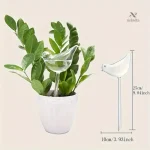 Arroseur décoratif en verre pour plantes d'intérieur