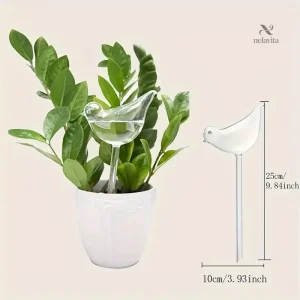 Arroseur décoratif en verre pour plantes d'intérieur