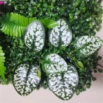 Panneau décoratif pour embellir espaces extérieurs