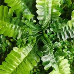 Feuillage artificiel pour jardin et terrasse