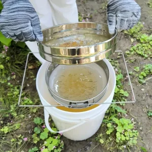 Filtre professionnel pour l'extraction du miel