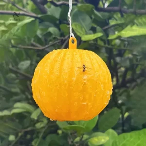 Piège Anti-Fourmis Suspendu en Forme de Fruit – Insecticide Naturel pour Jardin, Arbres Fruitiers et Plantes Extérieures