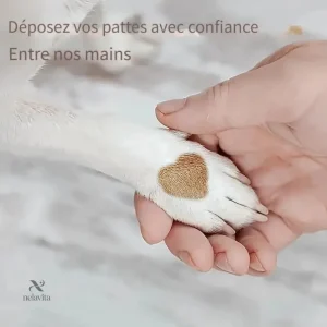 Outil de toilettage pour griffes et coussinets d'animaux