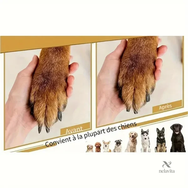 Lime manuelle pour le soin des griffes des animaux domestiques