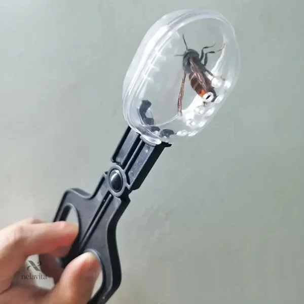 Pince attrape-reine, solution pratique pour les apiculteurs
