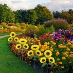 Accessoire de jardin avec éclairage LED solaire