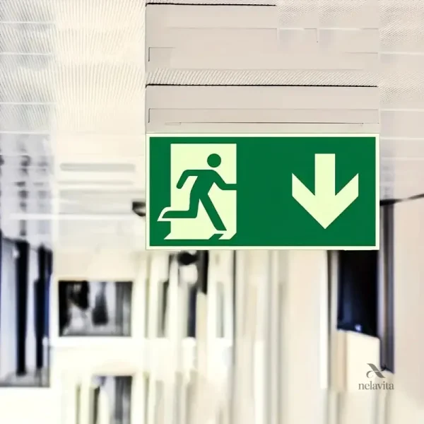 Porte de secours pour sécurité au travail