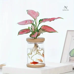 Pot de fleurs créatif avec aquarium intégré