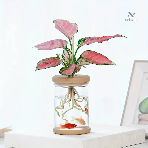 pot-de-fleurs-creatif-avec-aquarium-integre-jardiniere-de-eij5ht-1 Pot de fleurs créatif avec aquarium intégré