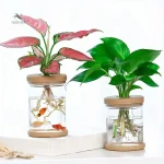 Jardinière décorative 2 en 1 pour plantes et poissons