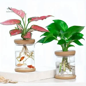 Jardinière décorative 2 en 1 pour plantes et poissons
