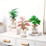 Pots de fleurs avec aquarium, décoration moderne et fonctionnelle